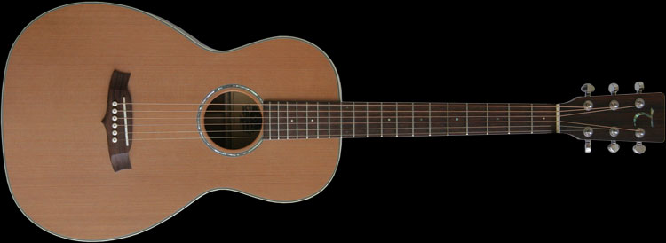 Tanglewood TW73 Parlor Guitar, 2004